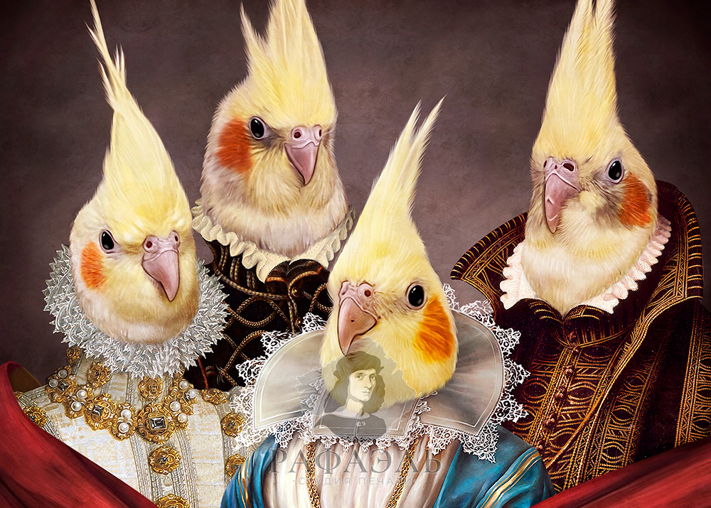 портрет-питомцев---попугаи